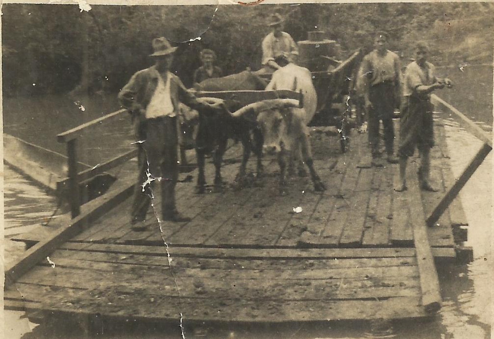 Junta de bois e homens atravessando o rio sobre a balsa