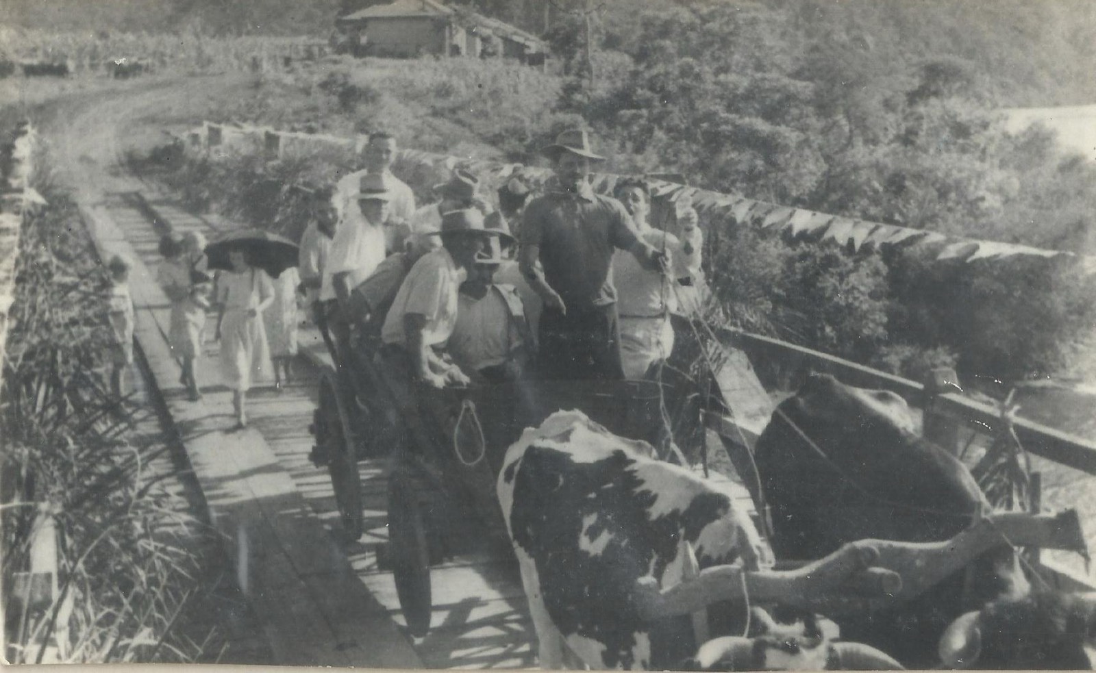 Carroça de bois cruzando a ponte do Macaco Branco enfeitada, 1958