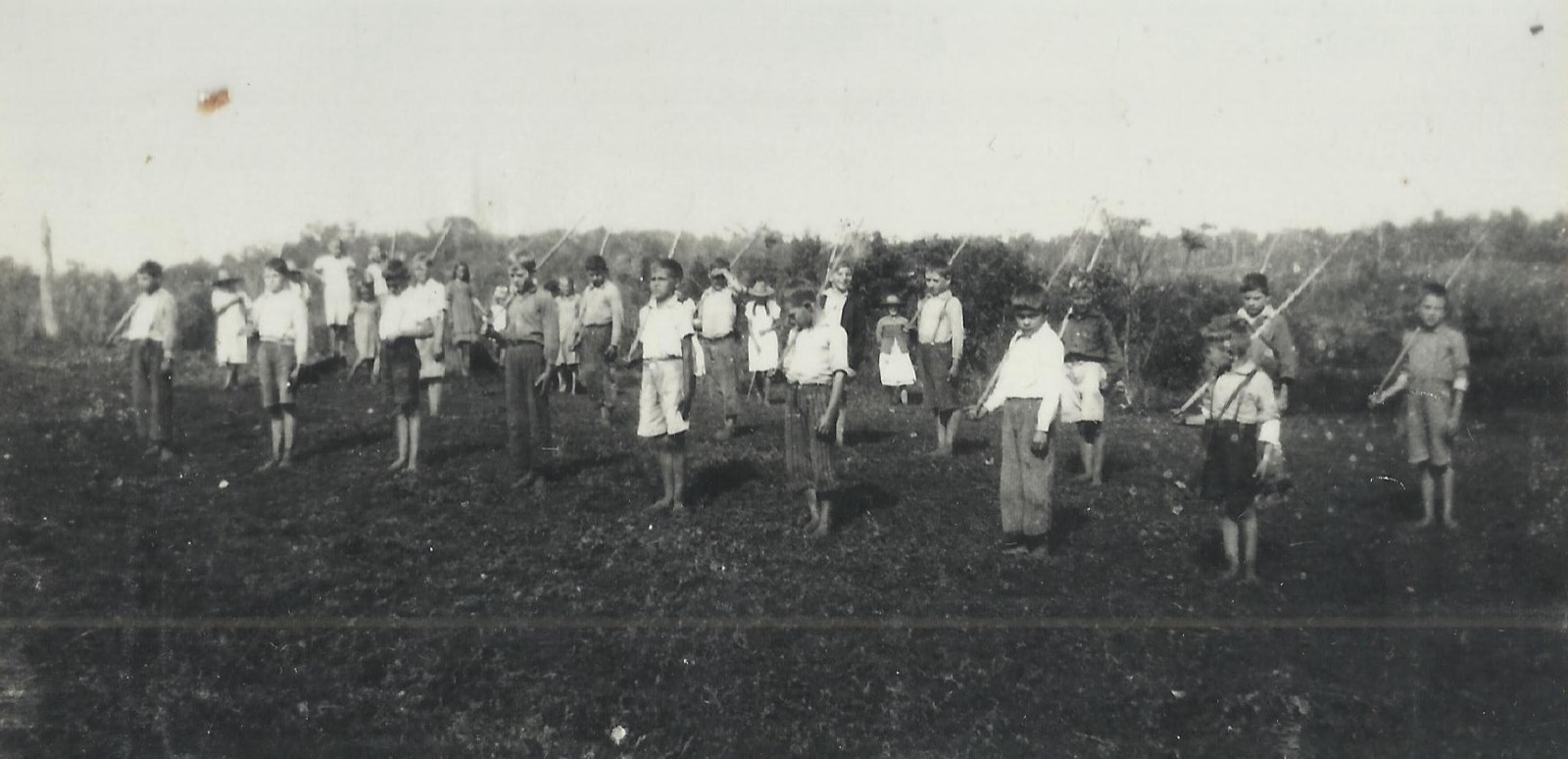 Crianças em atividade de escotismo em campo aberto