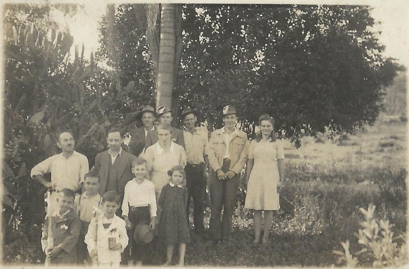 Famílias Kollmann e Wohlfart reunidas para retrato sob uma palmeira