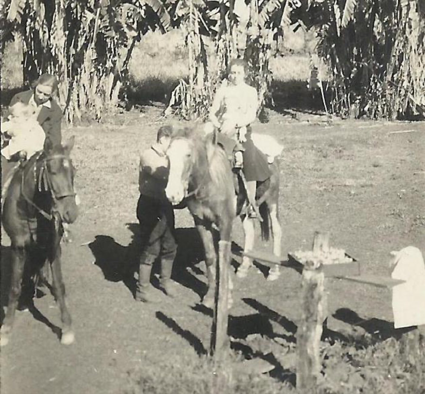 Cena rural antiga com pessoas e cavalos em Linha Becker
